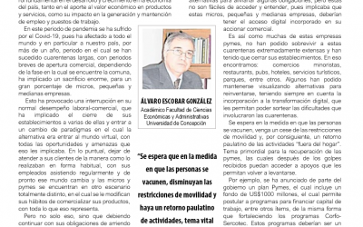 Las Pymes y la Recuperación Económica