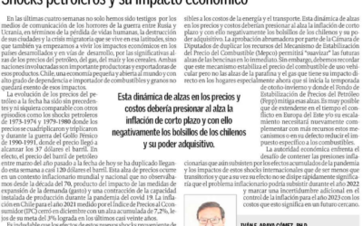 Shocks petroleros y su impacto económico