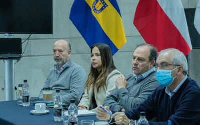 Sesión ampliada de la Mesa Comex tuvo como invitado especial al decano Álvaro Escobar