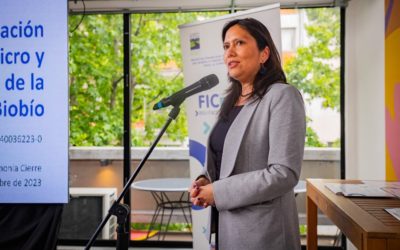 Proyecto FIC Mype finaliza tras dos años con inversión de más de $3 mil millones e impacto a 1.200 micro y pequeñas empresas beneficiadas